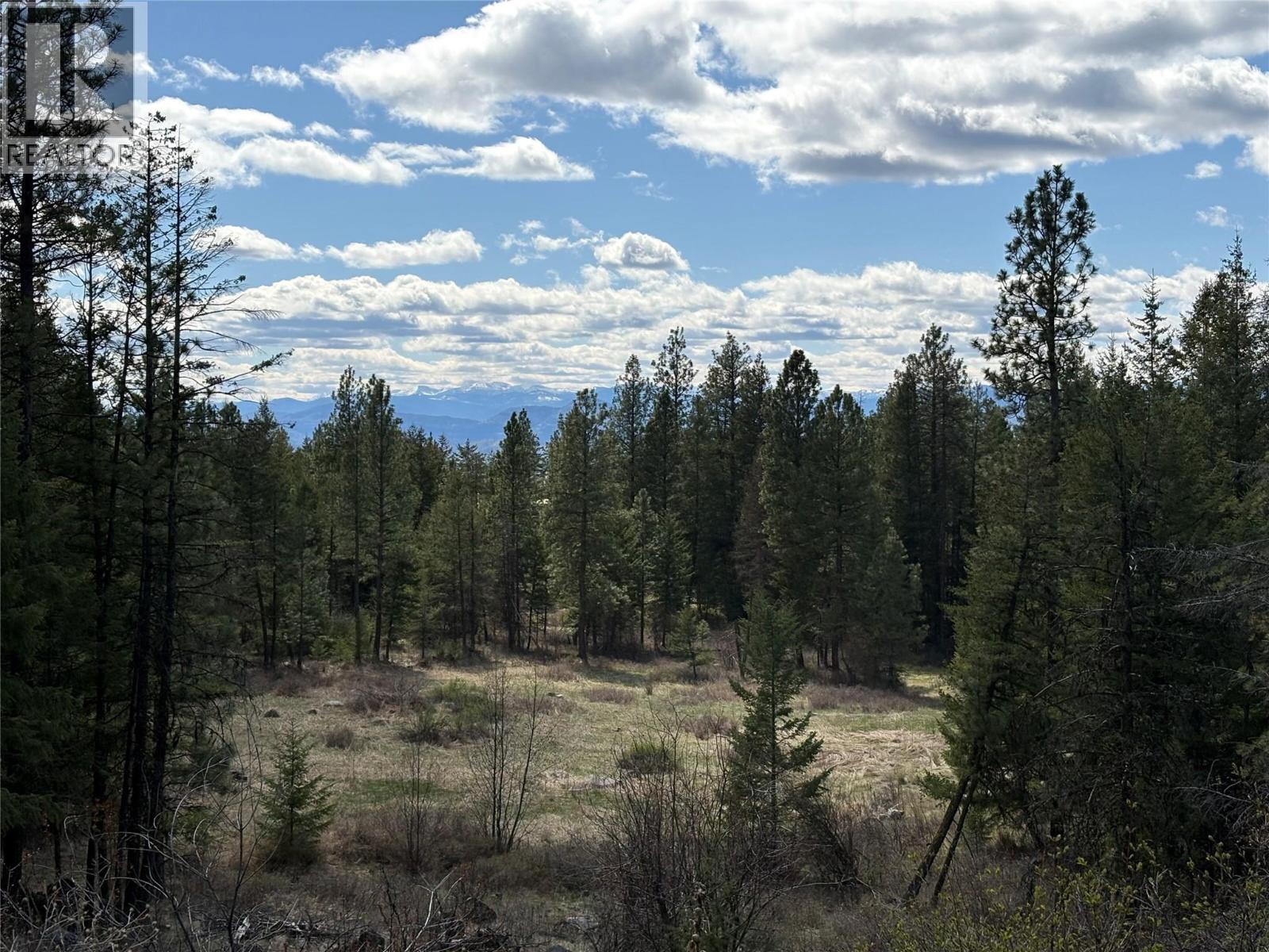 100 Bullmoose Court, Osoyoos