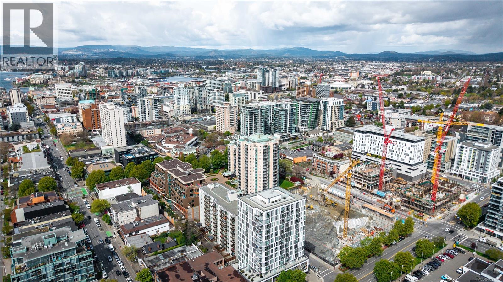 #1703 1020 View St - 67