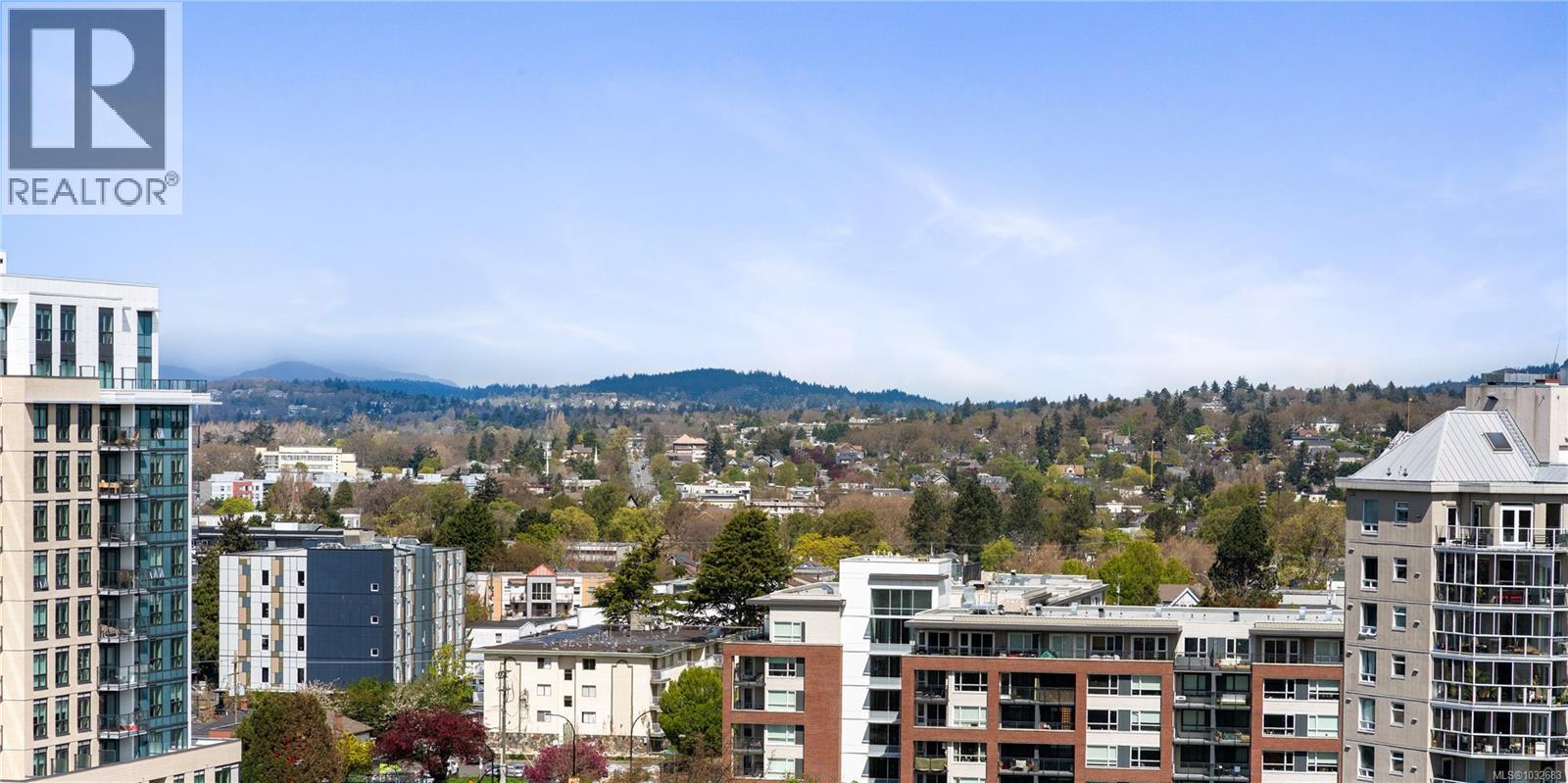 #1703 1020 View St - 45