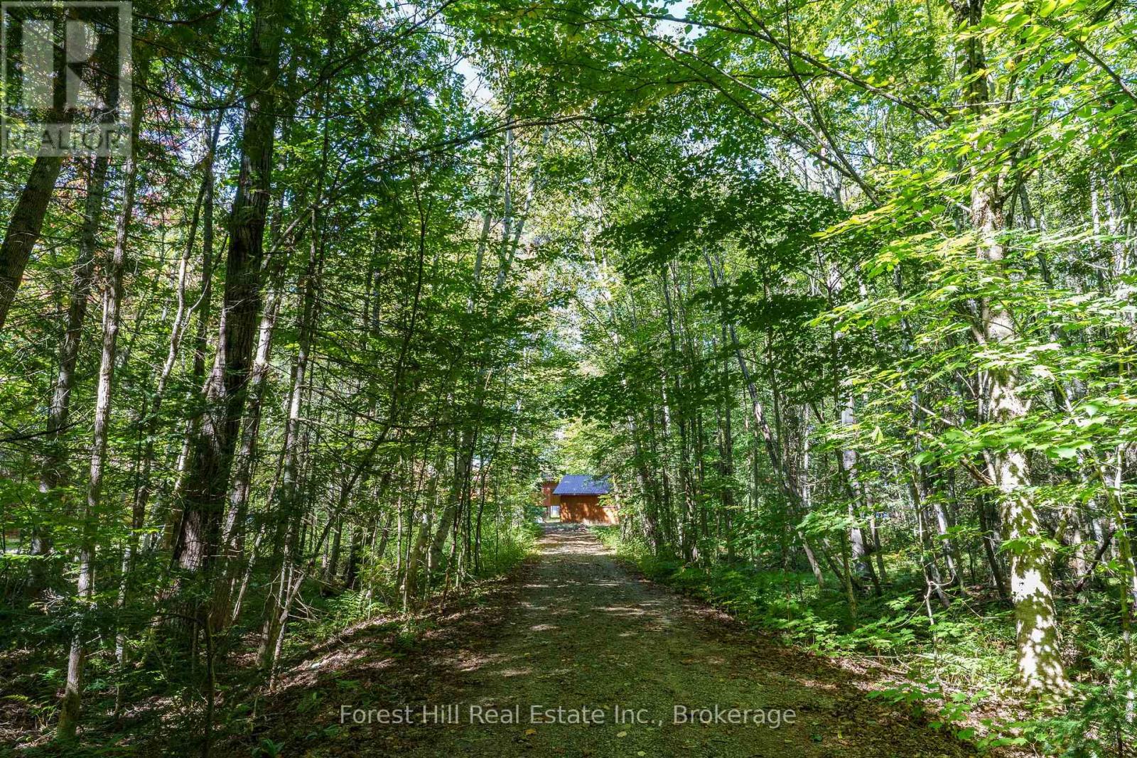 2 - 2991 MUSKOKA RD 117 ROAD — photo 26