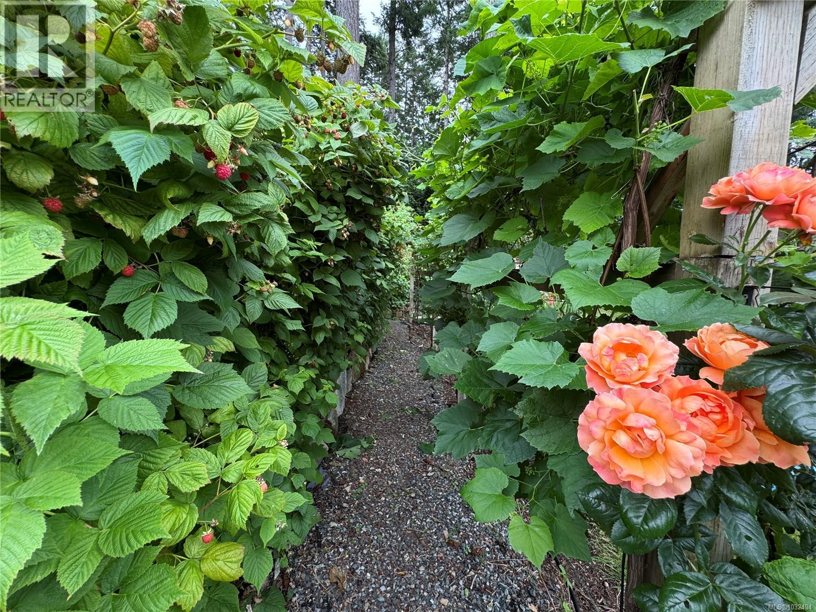 674 Gallagher Way - 64