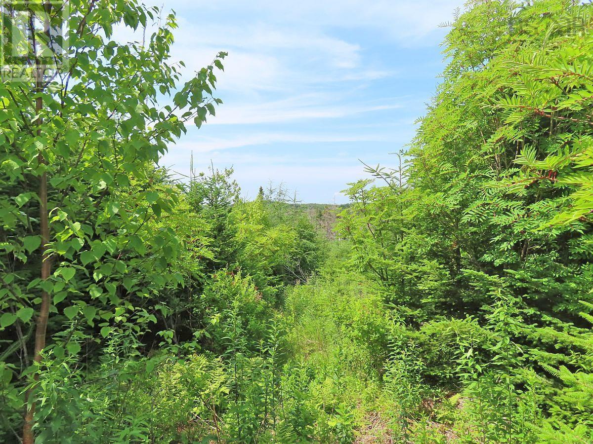 Property 32 of 43 of Lot 3 Rear Big Cove Road