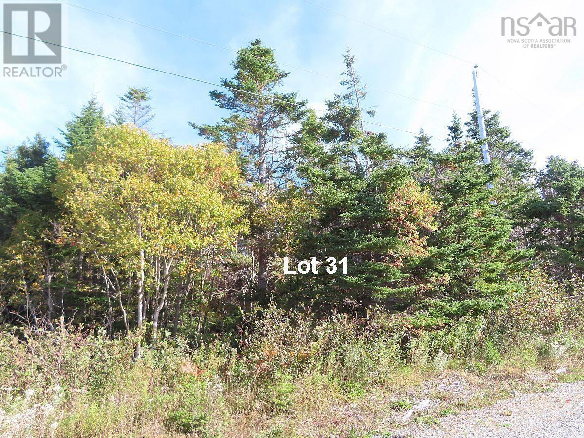 Property 10 of 48 of Lot 31 Belfry Lake Road