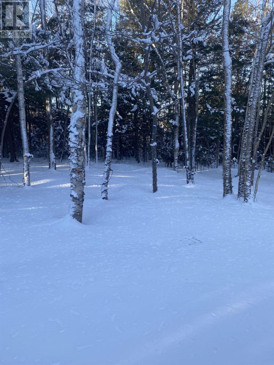 Property 46 of 50 of 20 Perry Court