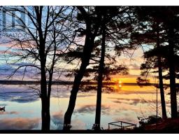 80 Macgregor Bay Trail, Petawawa, ON K8A8K9 Photo 49