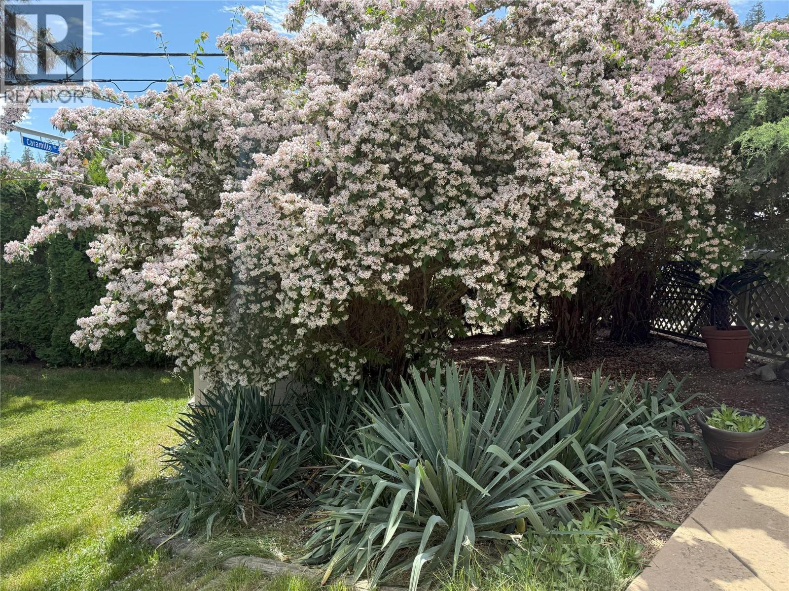 599 Clifton Road S - 53