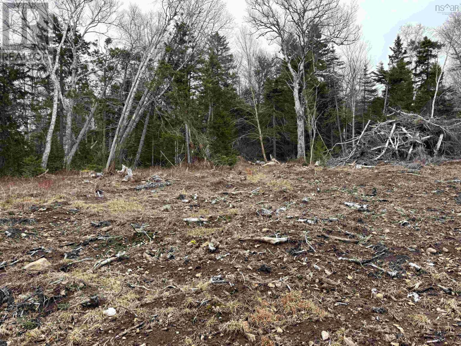 Property 17 of 28 of Lot 4 Old Baxter Mill Road