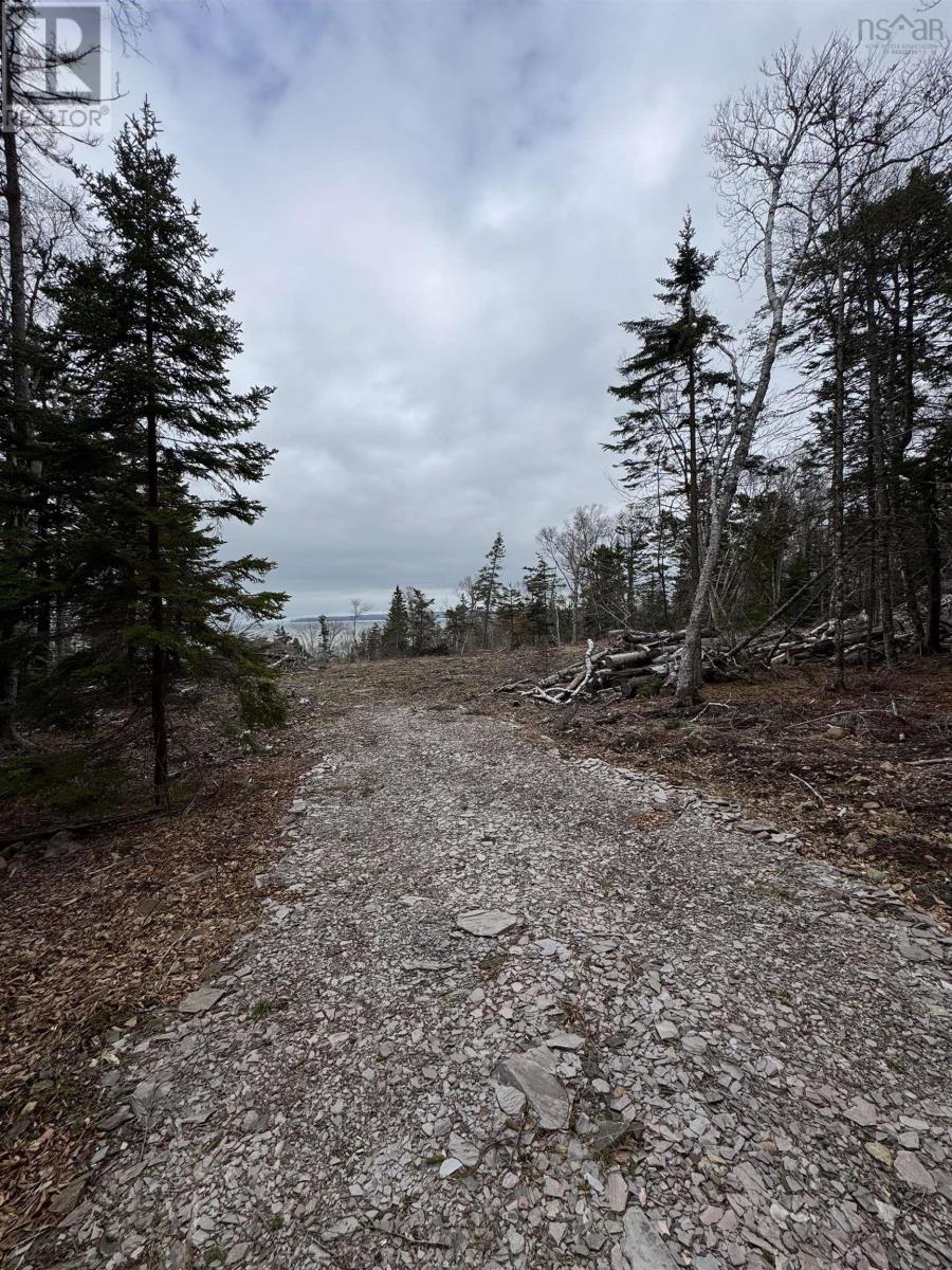 Property 12 of 28 of Lot 4 Old Baxter Mill Road