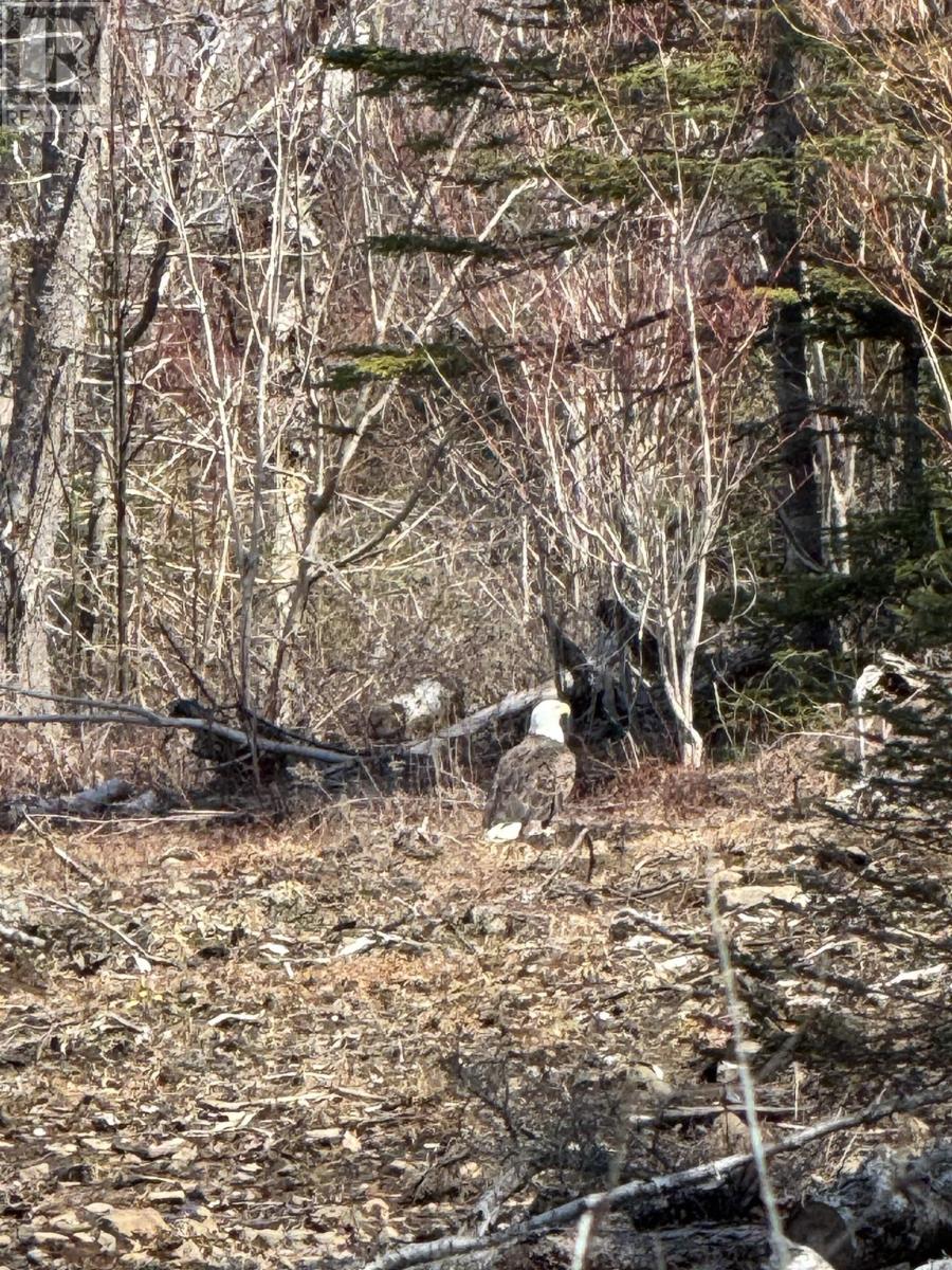 Property 15 of 28 of Lot 4 Old Baxter Mill Road