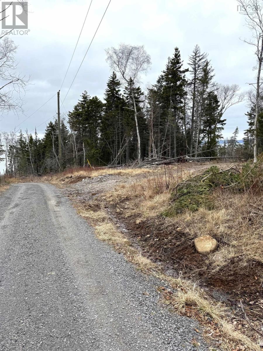 Property 21 of 28 of Lot 4 Old Baxter Mill Road