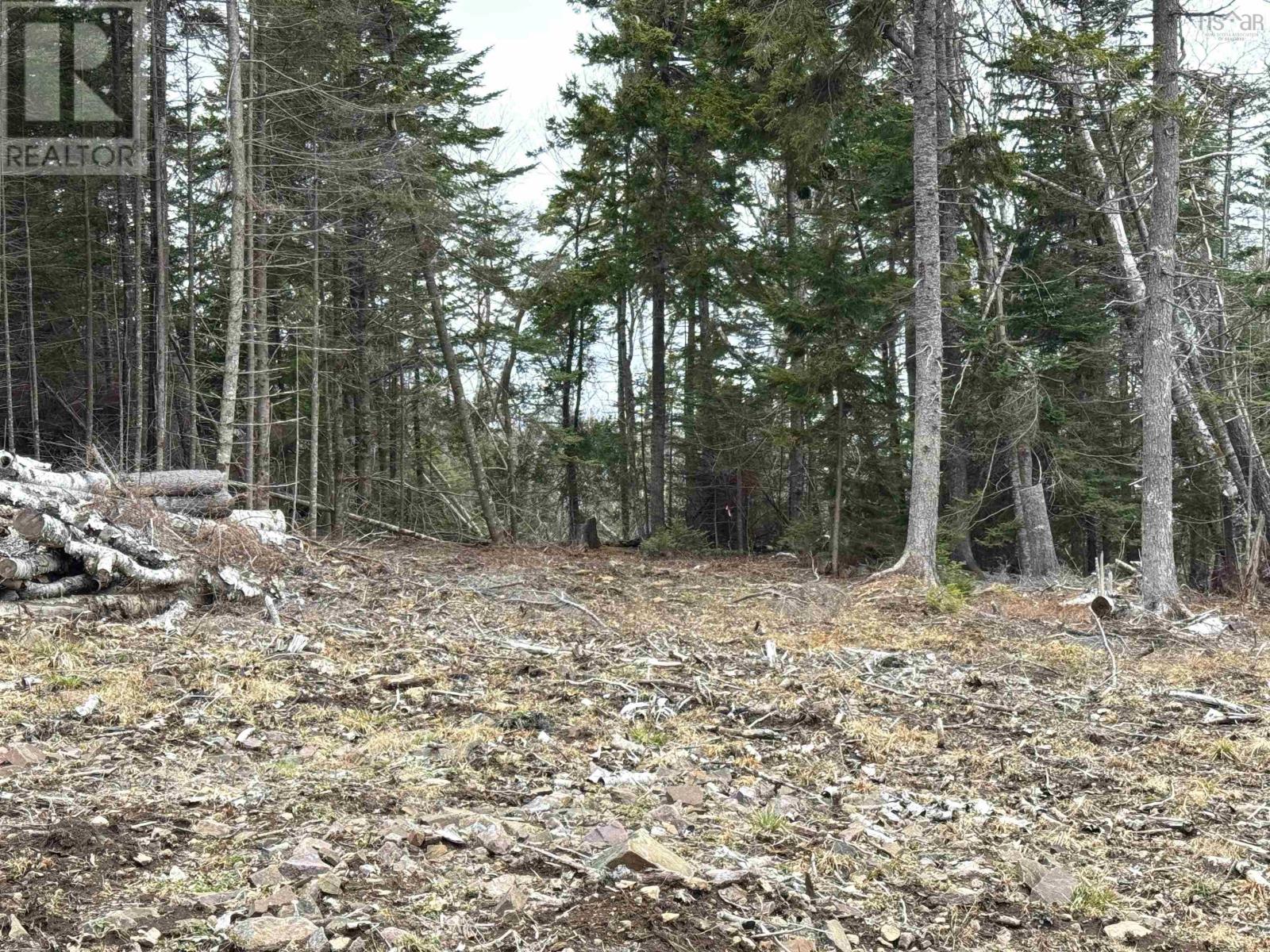 Property 16 of 28 of Lot 4 Old Baxter Mill Road