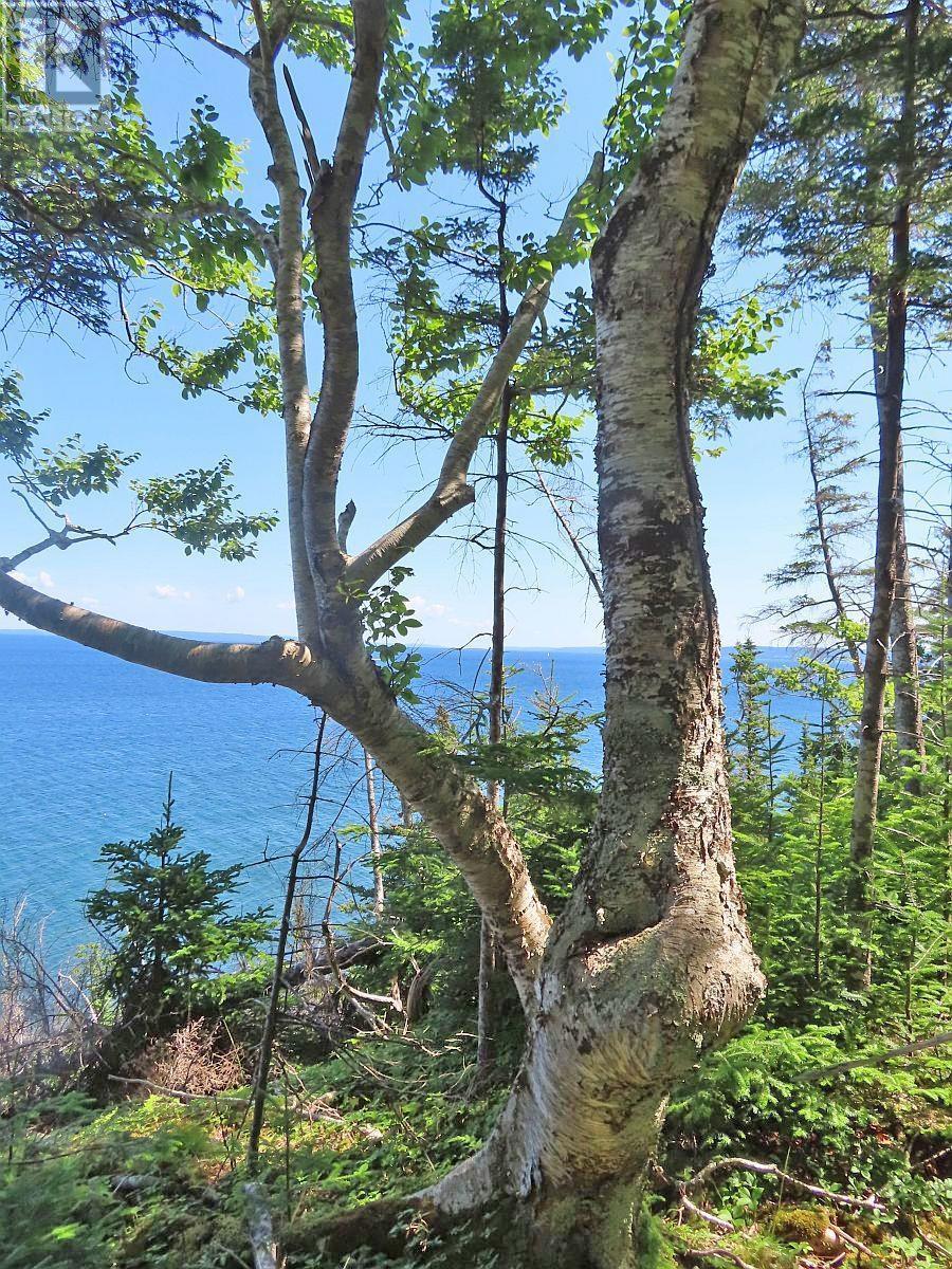 Property 12 of 45 of 195 Acres West Bay Highway