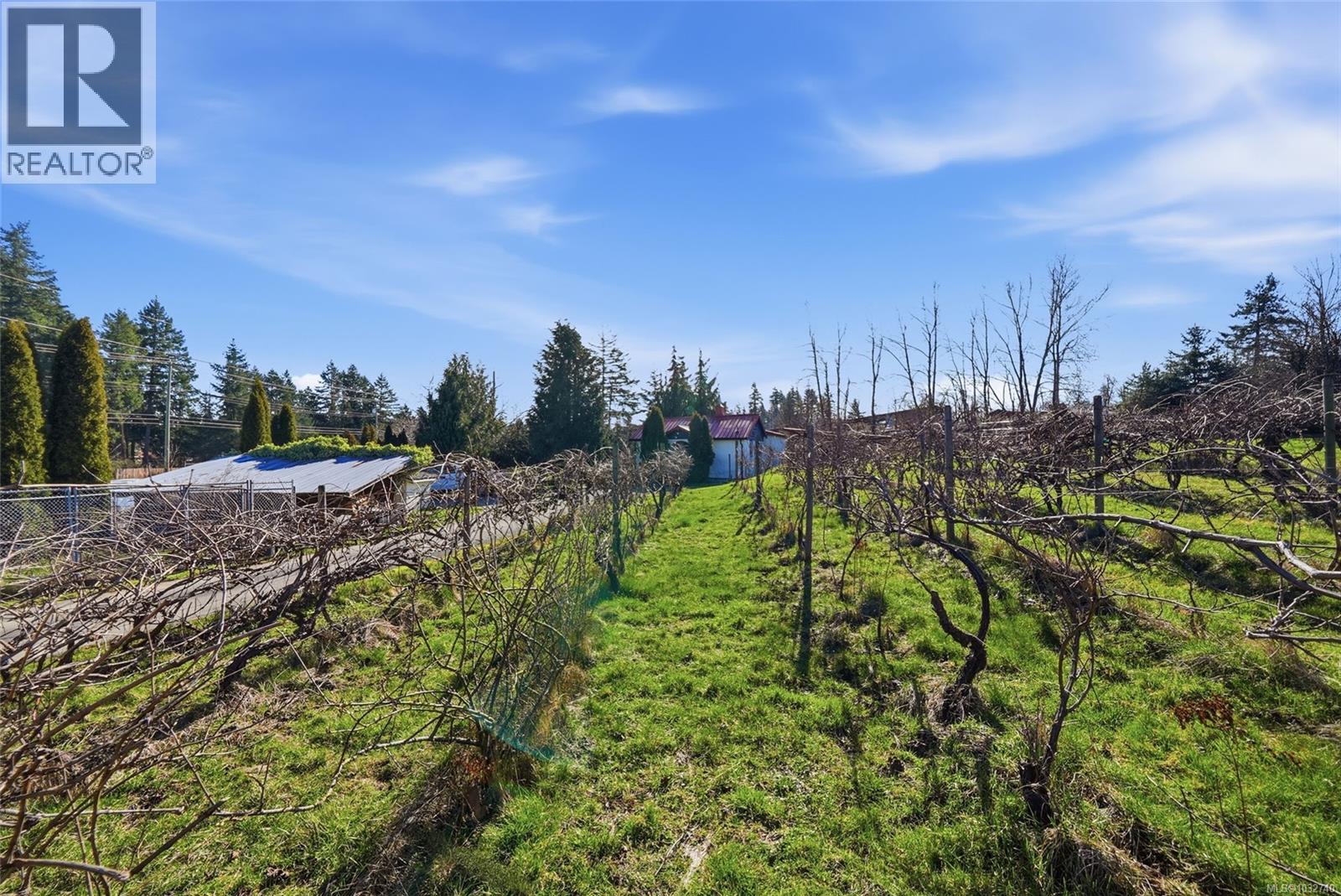 2441 STAGHORN RD - 81