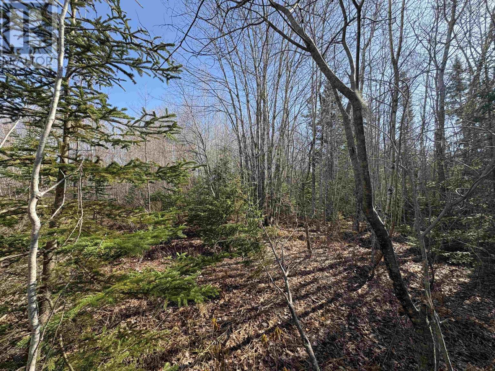 Property 8 of 10 of Bennie Muckle - 30 Acres Road