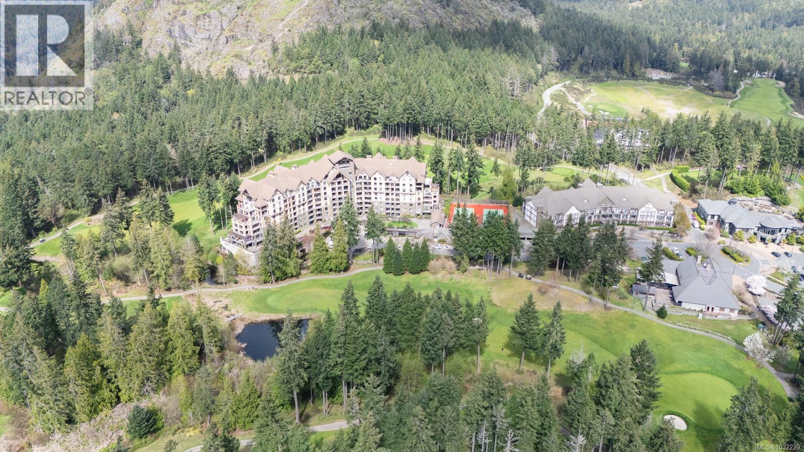 #117 1395 Bear Mountain Pkwy - 18