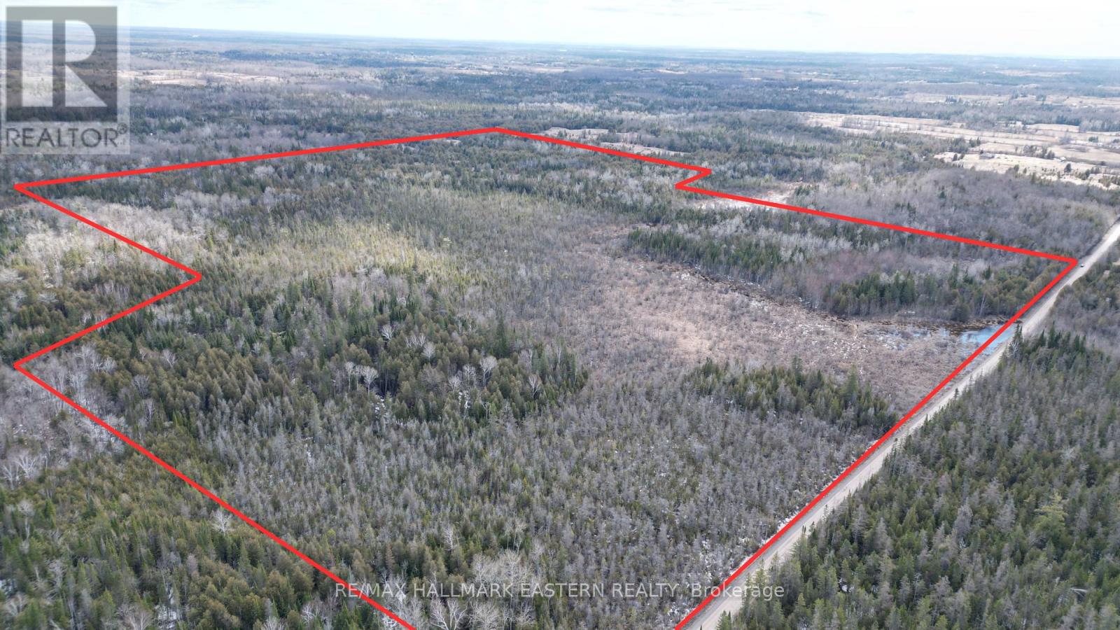 509 12TH LINE DUMMER ROAD - photo 2