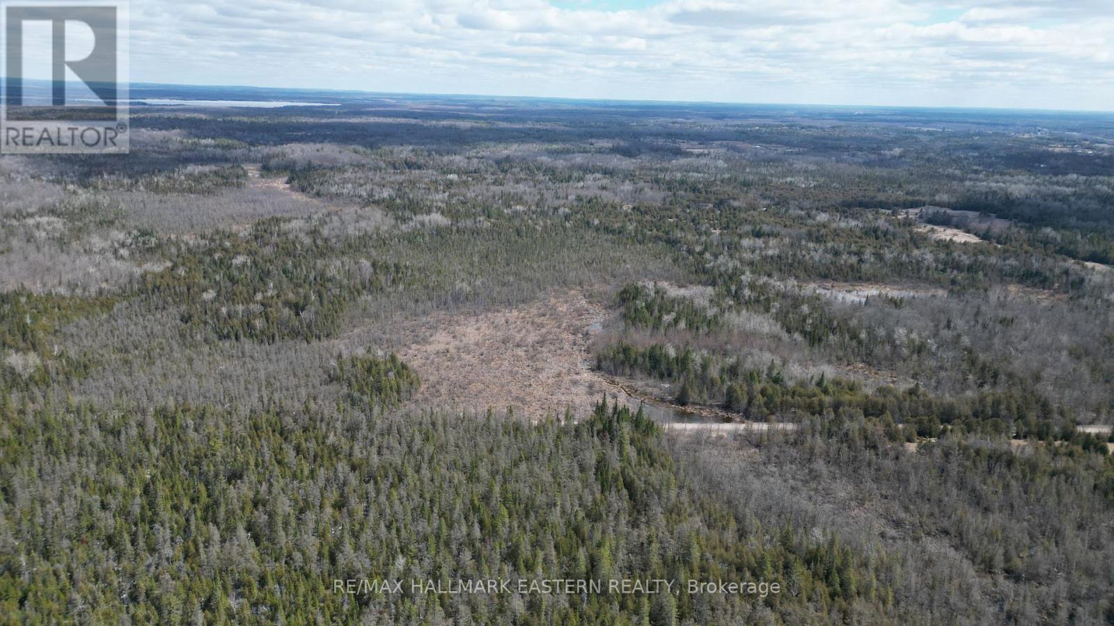 Looking East from 12th Line