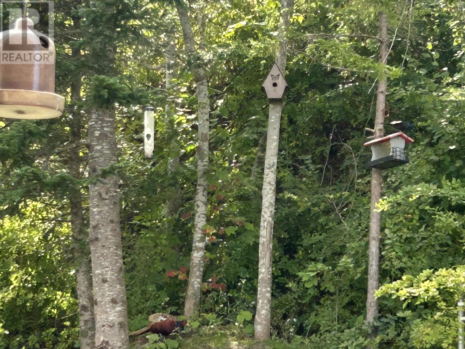 Property 37 of 39 of 36 Guptill Close