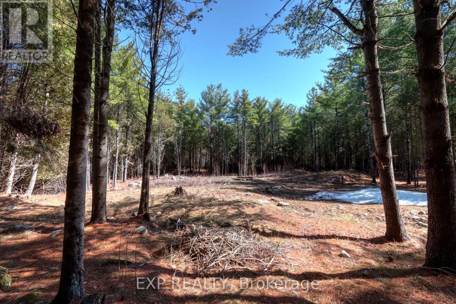 593 COUNTY 40 ROAD - photo 2