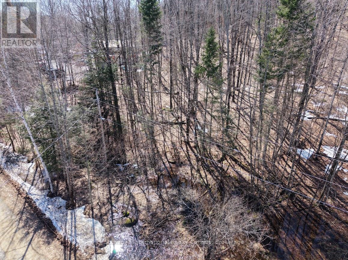 0 MINK LOT 17 ROAD — photo 7