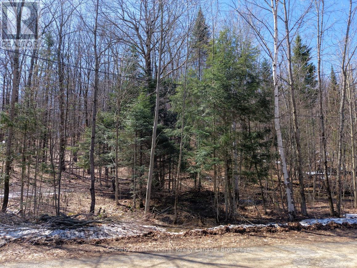 0 MINK LOT 17 ROAD — photo 9