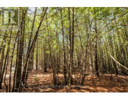 146 Sutter Road, Northern Bruce Peninsula, ON N0H1W0 Photo 11