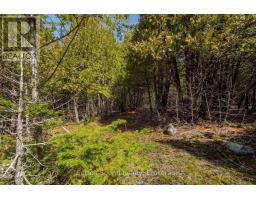 146 Sutter Road, Northern Bruce Peninsula, ON N0H1W0 Photo 13
