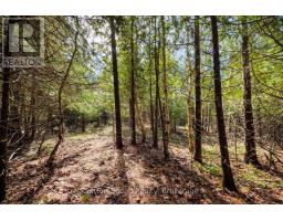 146 Sutter Road, Northern Bruce Peninsula, ON N0H1W0 Photo 12