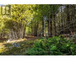 146 Sutter Road, Northern Bruce Peninsula, ON N0H1W0 Photo 16