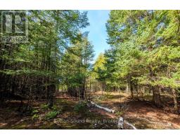 146 Sutter Road, Northern Bruce Peninsula, ON N0H1W0 Photo 10