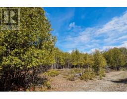 146 Sutter Road, Northern Bruce Peninsula, ON N0H1W0 Photo 14