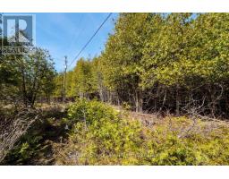 146 Sutter Road, Northern Bruce Peninsula, ON N0H1W0 Photo 6