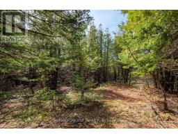 146 Sutter Road, Northern Bruce Peninsula, ON N0H1W0 Photo 7