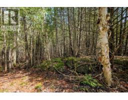146 Sutter Road, Northern Bruce Peninsula, ON N0H1W0 Photo 9