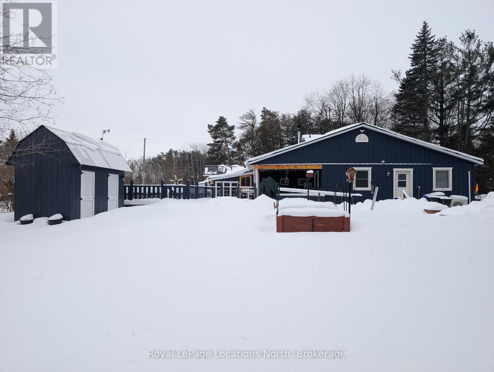 Winter wonderland