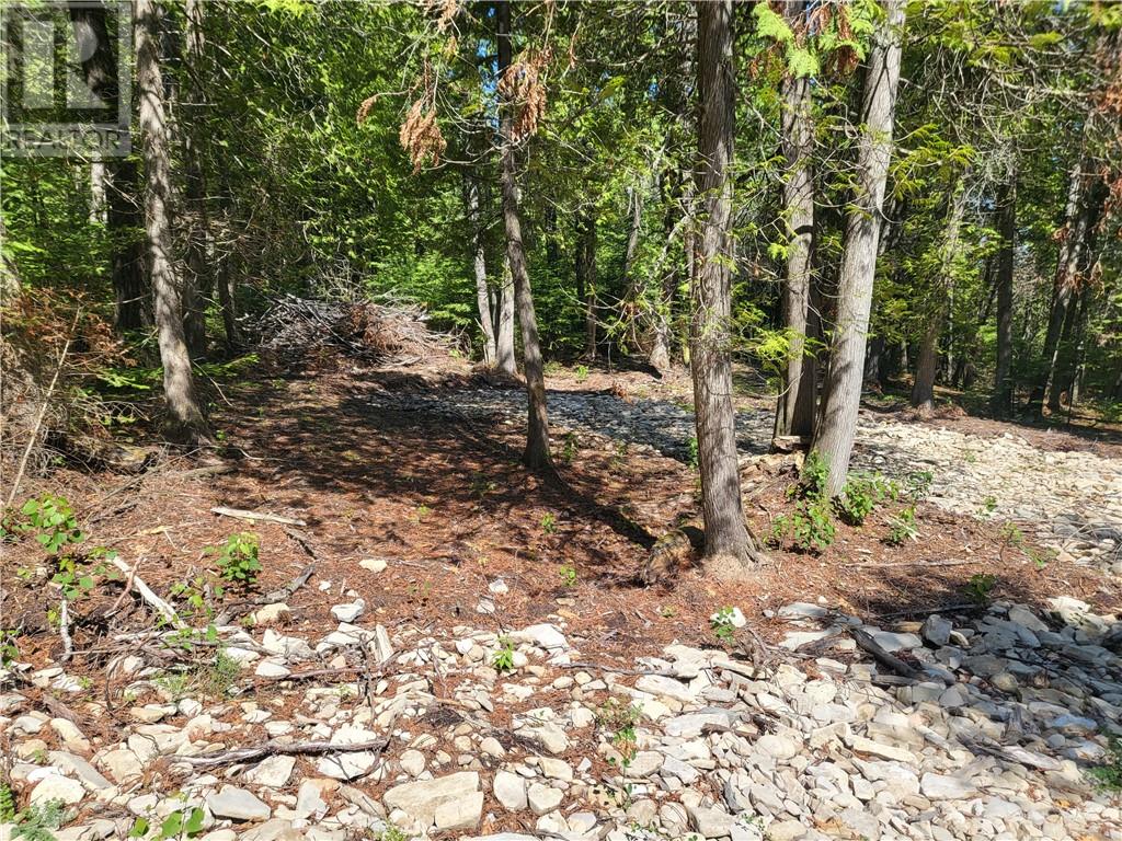 Lot 2 31M-209 Water Street, Meldrum Bay, Ontario, P0P1R0 — Photo 5