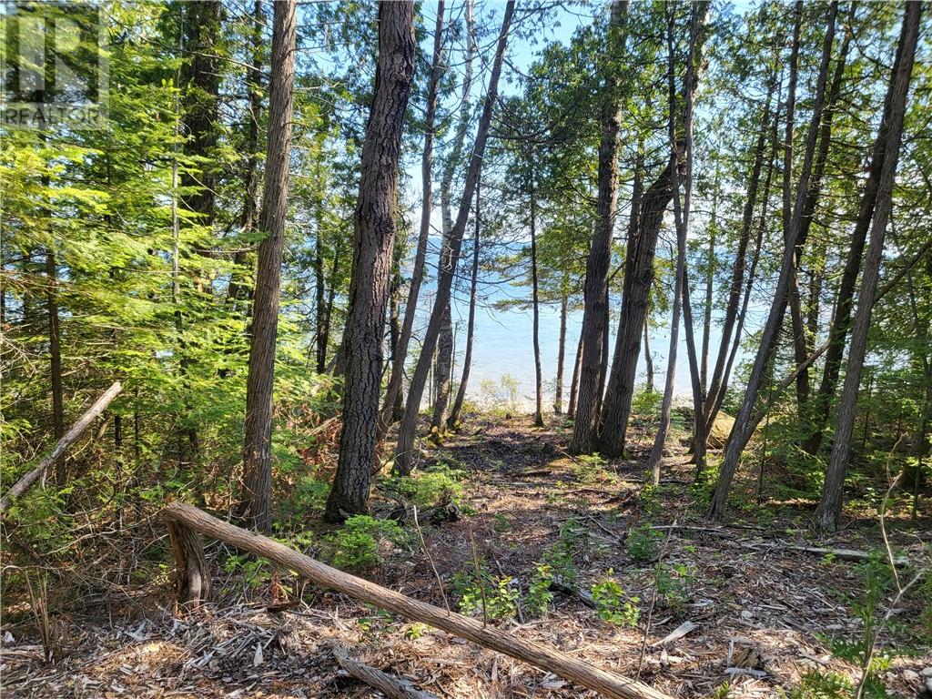 Lot 1 31M-209 Water Street, Meldrum Bay, Ontario, P0P1R0 — Photo 11