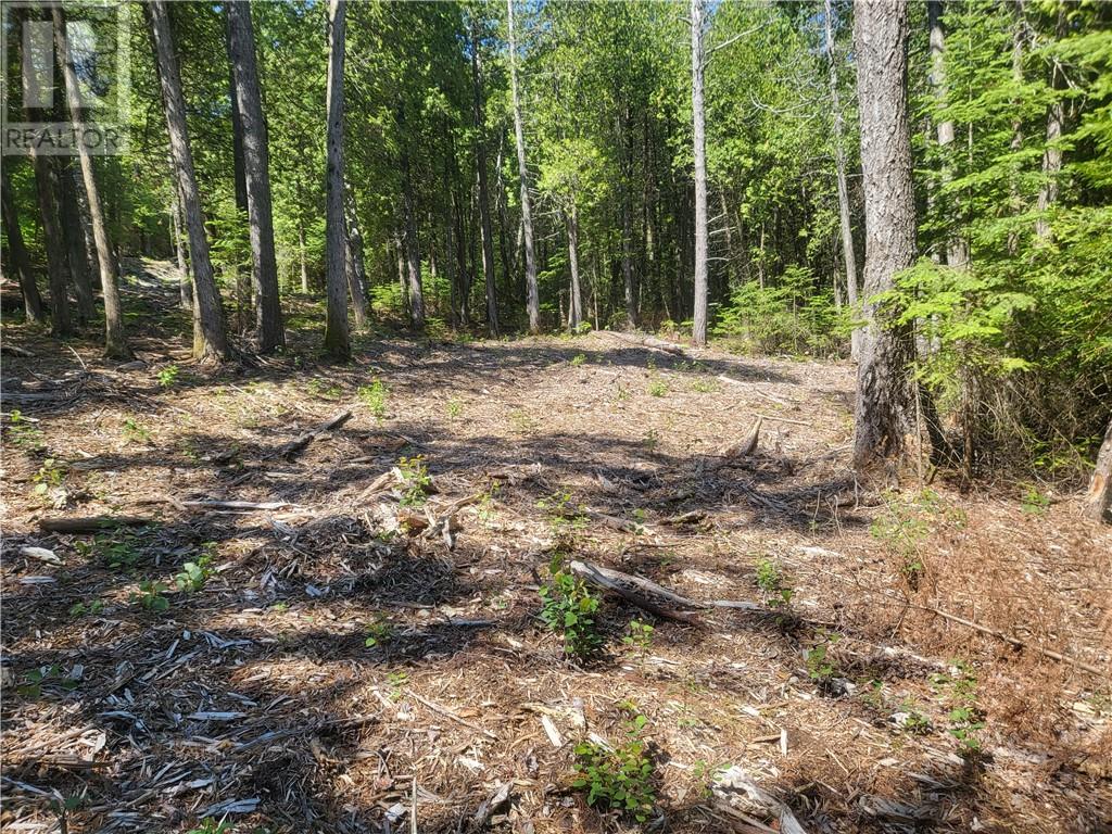 Lot 1 31M-209 Water Street, Meldrum Bay, Ontario, P0P1R0 — Photo 17