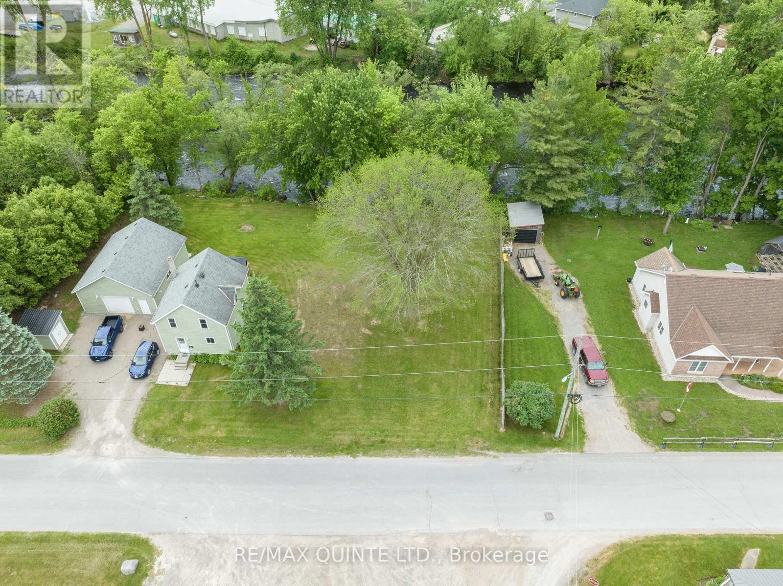 210 ALEXANDER STREET — photo 11