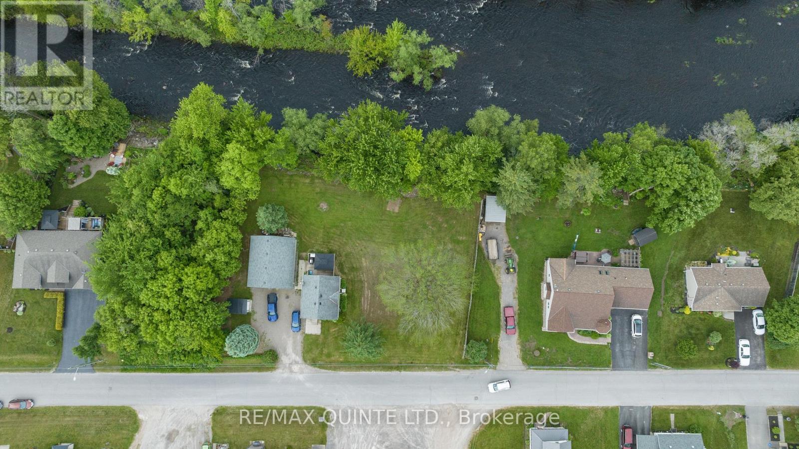210 ALEXANDER STREET — photo 5