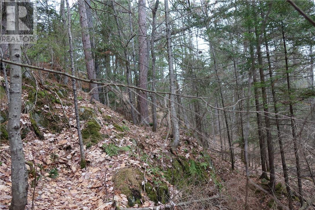 00 Faraway, Espanola, Ontario, P5E1P4 — Photo 10