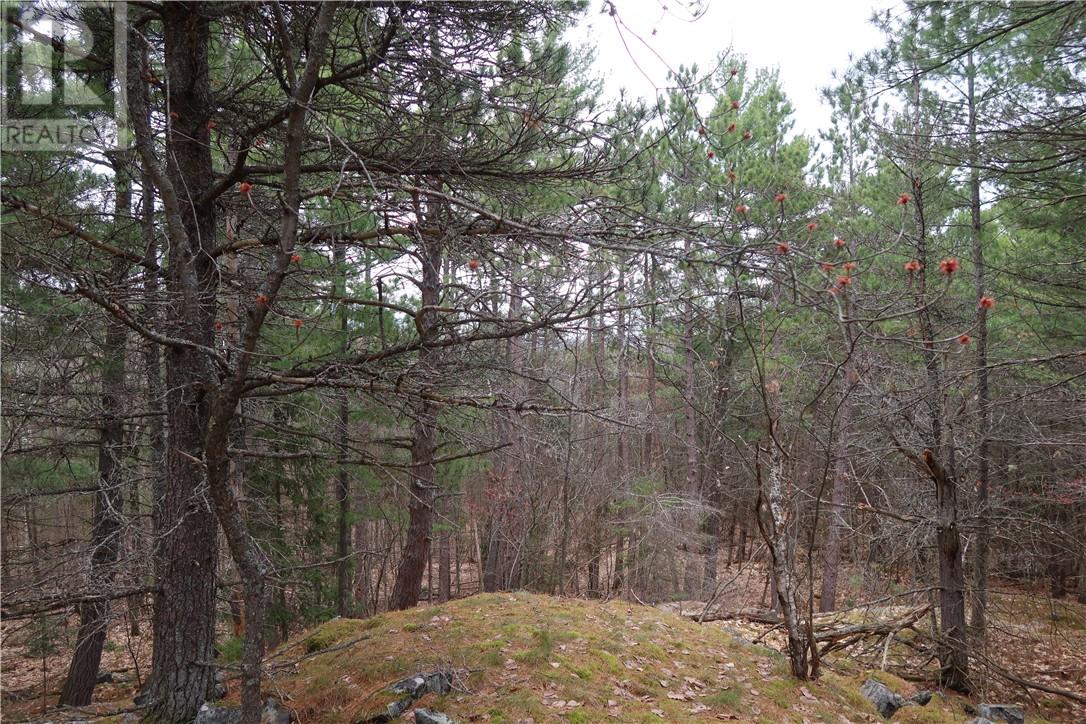 00 Faraway, Espanola, Ontario, P5E1P4 — Photo 11