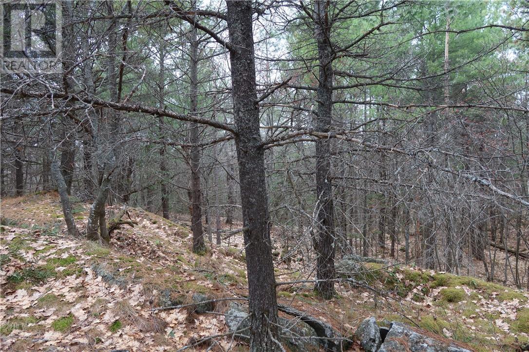 00 Faraway, Espanola, Ontario, P5E1P4 — Photo 12