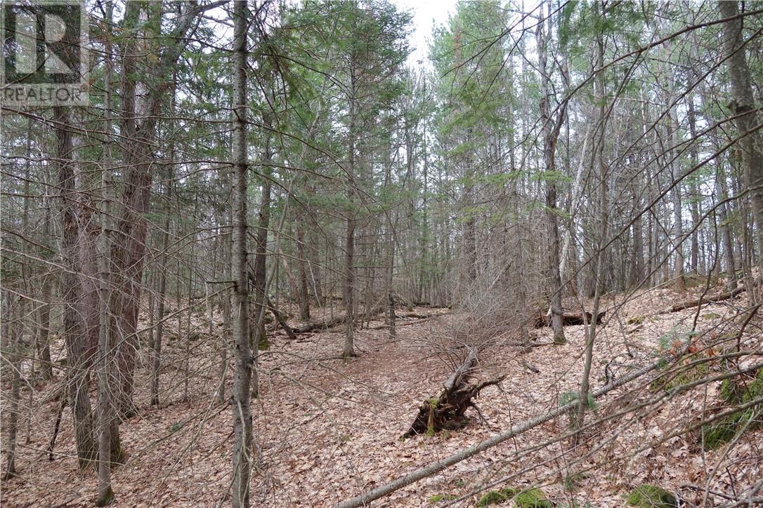 00 Faraway, Espanola, Ontario, P5E1P4 — Photo 13