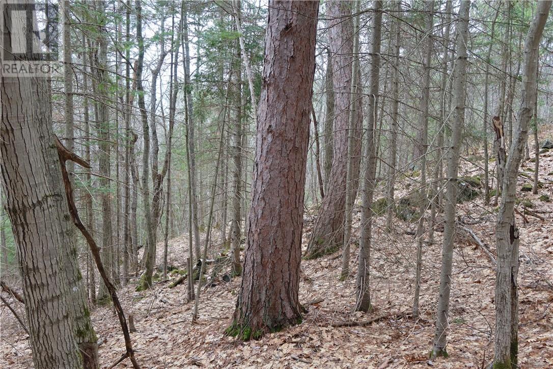 00 Faraway, Espanola, Ontario, P5E1P4 — Photo 14