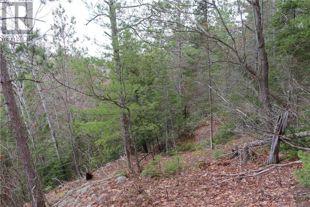 00 Faraway, Espanola, Ontario, P5E1P4 — Photo 15