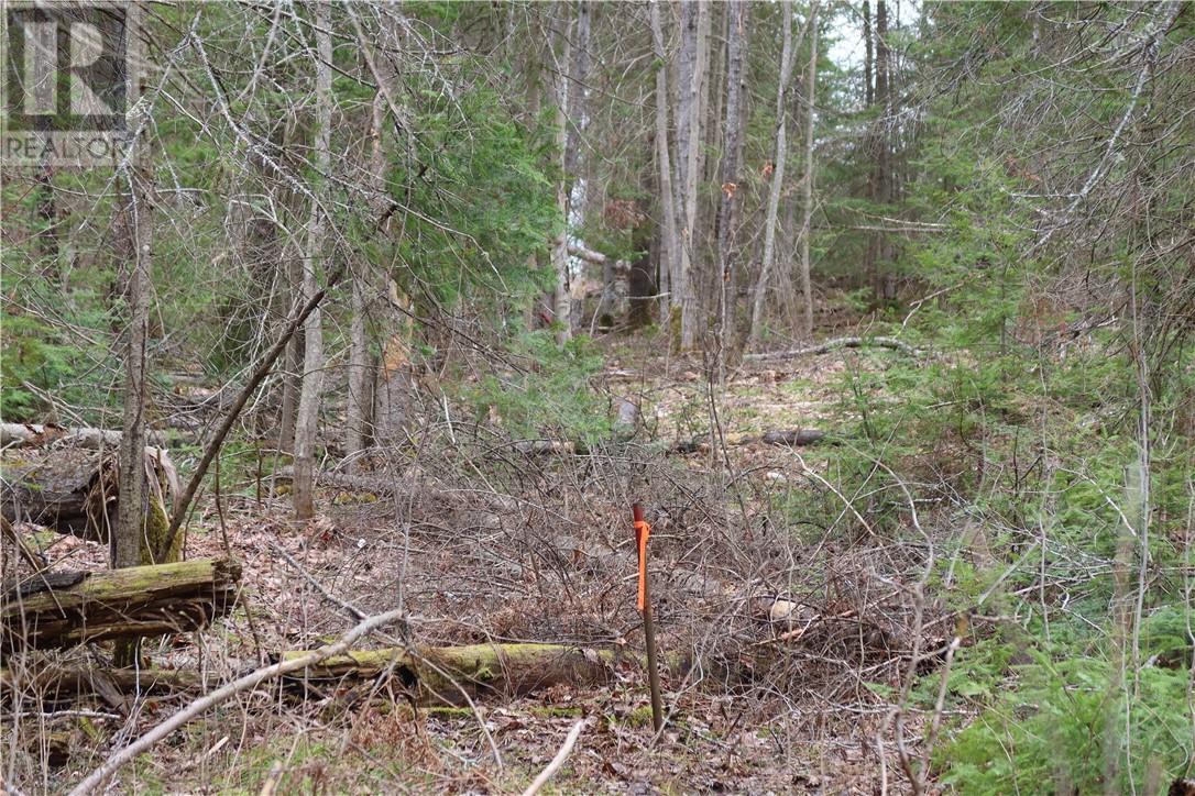 00 Faraway, Espanola, Ontario, P5E1P4 — Photo 9