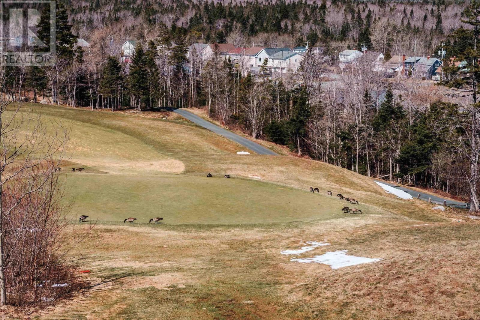 Property 16 of 49 of 71 Maple Grove Avenue