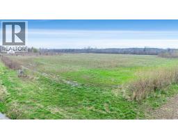 119 Victoria, Pelee Island, ON N0R1M0 Photo 10