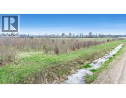 119 Victoria, Pelee Island, ON N0R1M0 Photo 11